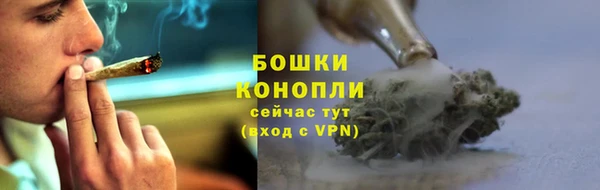 гидра Дмитров