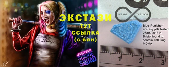 гидра Дмитров