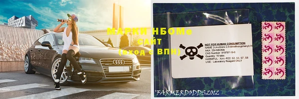 гидра Дмитров