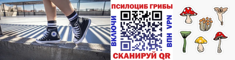 Галлюциногенные грибы мухоморы  Купить  Дюртюли 